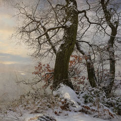 WINTER'S END