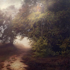 <span style="font-family: Ubuntu Condensed; letter-spacing:0.3em;">DAYS OF FOG AND WONDER VII (REMIX)</span><br>