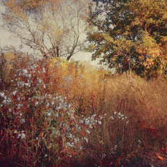 RANDOM PLACES #13