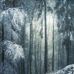 FROST