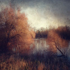 WINTERFIRE I