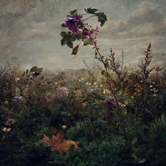 <span style="font-family: Ubuntu Condensed; letter-spacing:0.3em;">NOVEMBER FLOWERS II (REMIX)</span><br>