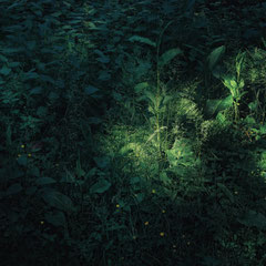 RANDOM PLACES #3