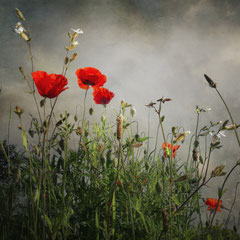 THAT TOUCH OF RED