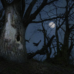ON DARK WINGS | PART IX