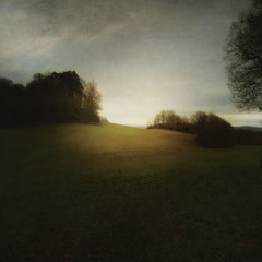 WINTERFIELD