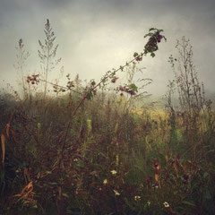 RANDOM PLACES #49