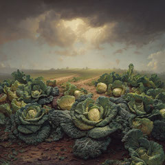 <span style="font-family: Ubuntu Condensed; letter-spacing:0.3em;">BRASSICA (REMIX)</span><br>