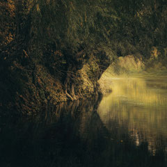 WILLOWS BY THE WATER
