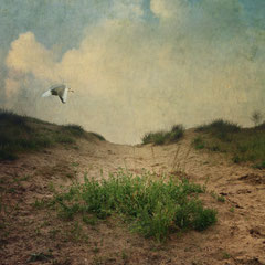 THE DUNE