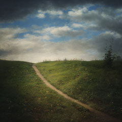 THE NARROW PATH