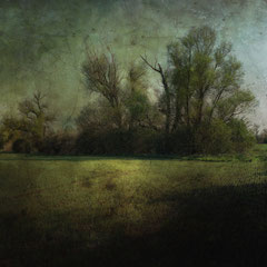 OVER FIELDS OF GREEN