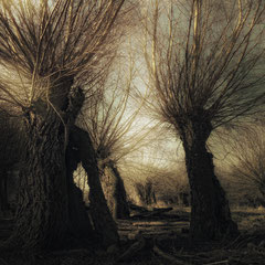 HUNTING GHOSTS