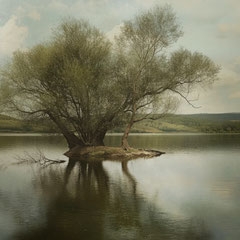 LITTLE ISLAND