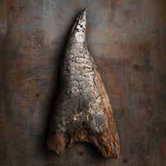 <span style="font-family: Ubuntu Condensed; letter-spacing:0.3em;">BURNT DRIFTWOOD</span><br>