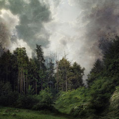 A FOREST