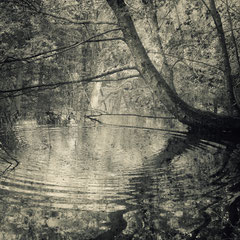 <span style="font-family: Ubuntu Condensed; letter-spacing:0.3em;">MONOCHROME 172</sp