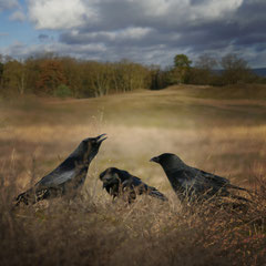 MADRIGAL