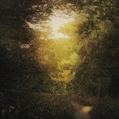 A LIT PATH