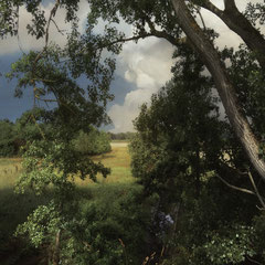 MEMORIES AND POPLAR TREES