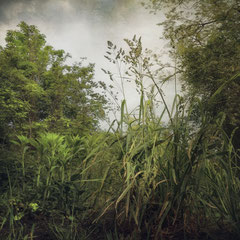 RANDOM PLACES #21