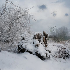 WINTER IS CLOSE VI