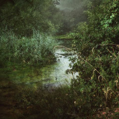 LOST IN GREEN