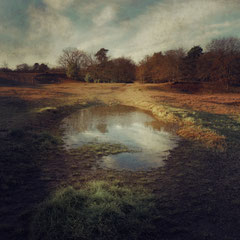 HEARTLAND