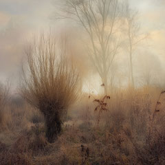 WHISPERED AND REVEALED