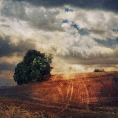 BEYOND THE FIELDS WE KNOW