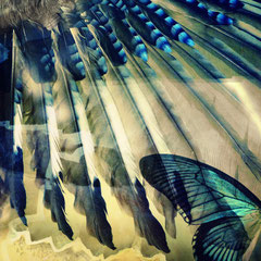 WINGS VI