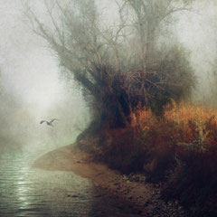AUTUMN WINGS IV