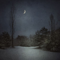 <span style="font-family: Ubuntu Condensed; letter-spacing:0.3em;">WINTER MOON</span> </p>