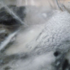 WATER 27