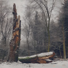 SNOW HAD FALLEN