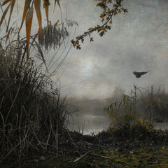 HIDING IN THE SWAMP (PART III)