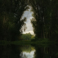 THE GATE