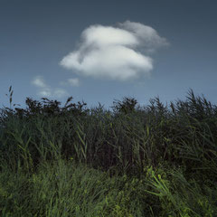 DAYDREAM