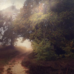 DAYS OF FOG AND WONDER VII