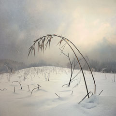WINTER IS CLOSE IV