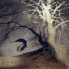 BLACK WINGED MESSENGER | PART XI