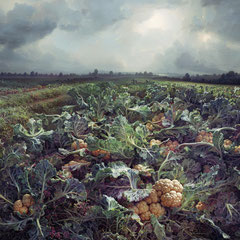 <span style="font-family: Ubuntu Condensed; letter-spacing:0.3em;">CAULIFLOWER FIELD (REMIX)</span><br>