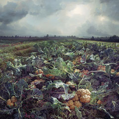 <span style="font-family: Ubuntu Condensed; letter-spacing:0.3em;">CAULIFLOWER FIELD (REMIX)</span><br>
