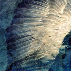 <span style="font-family: Ubuntu Condensed; letter-spacing:0.3em;">WINGS II</span><br>