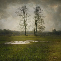 WHERE ONCE A RIVER RAN