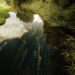 OPHELIA