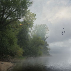 THE FOG IS CLEARING I