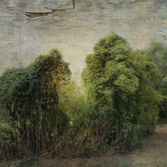 UNFAMILIAR LAND