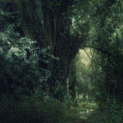 A GREEN INTERLUDE