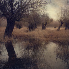 RECEDING FLOOD III
